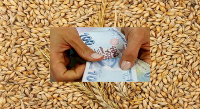 Bazı tahıl ürünlerinde gümrük vergisi sıfırlandı