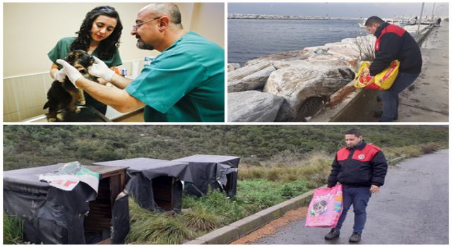 Maltepe Belediyesi 14 bin can dostunu tedavi etti