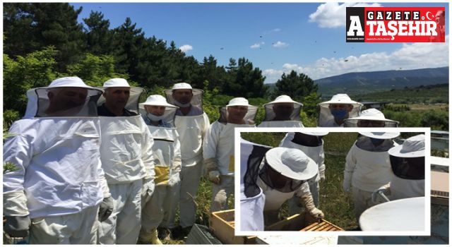 Ataşehir HEM'den Arıcılık Kursu uygulama alanına ziyaret