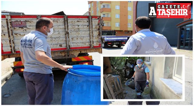 Ataşehir ve İBB ekipleri sivrisinekle mücadele başlattı