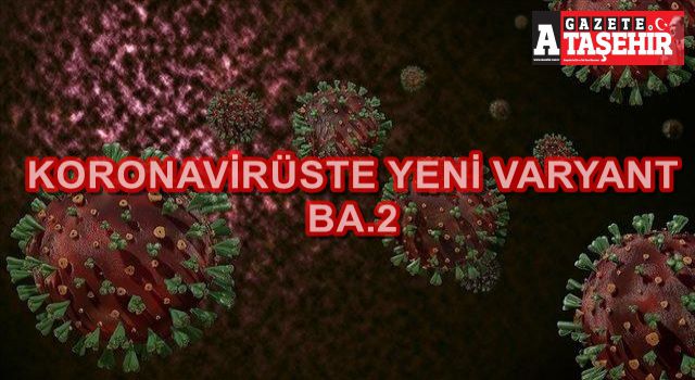 Koronavirüste yeni varyant BA.2