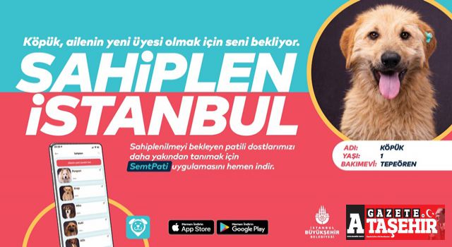 Can Dostlarımızı "Sahiplen İstanbul"