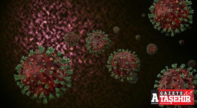 Koronavirüste yeni dalga endişesi