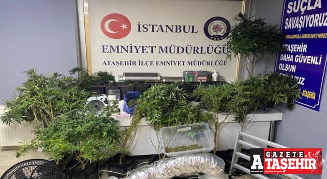 Ataşehir'de lüks rezidansta uyuşturucu serasına baskın