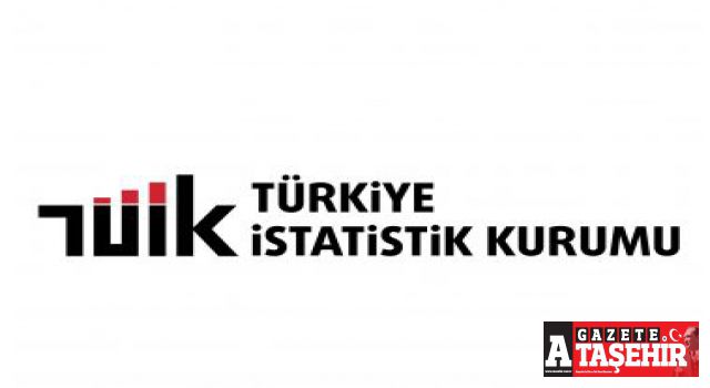 İşgücü İstatistikleri