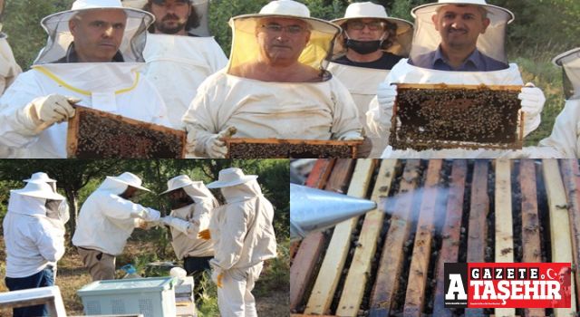 Ataşehir Halk Eğitimi Merkezi arıcılık kursu