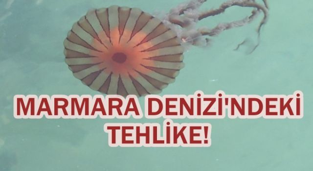 Marmara Denizi’nde tehlike!
