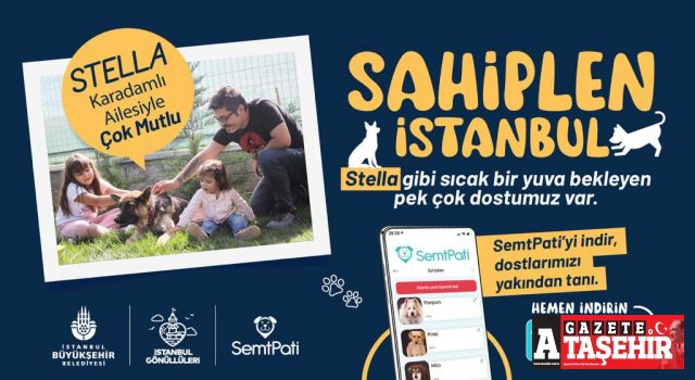 “SAHİPLEN İSTANBUL” ile dostlarımız yeni yuvalarına kavuşuyor