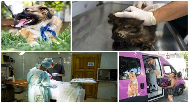 Ataşehir Belediyesi’nden sokak hayvanlarına modern tedavi imkânı