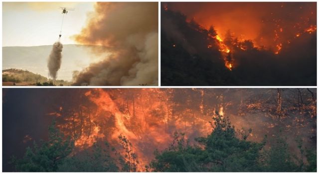 Sakarya'dan Bilecik'e sıçrayan yangın devam ediyor