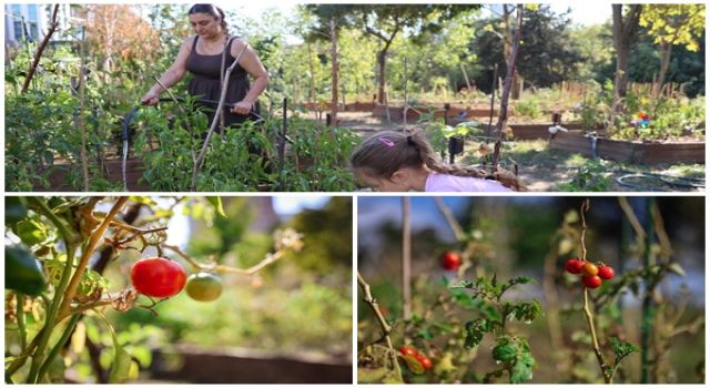 Kent Bostanları için yeni dönem başvuruları başlıyor