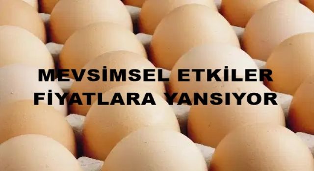 Gıda enflasyonunda zirve: Yumurtanın fiyatı 240 TL!