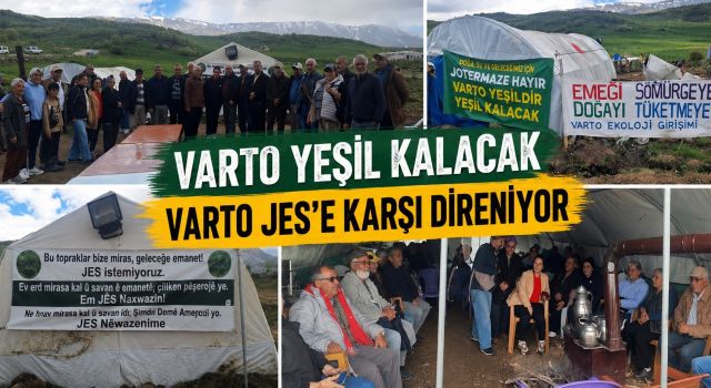 Çaylar Vadisi'nde Doğa Direnişi!