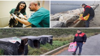 Maltepe Belediyesi 14 bin can dostunu tedavi etti