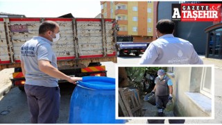Ataşehir ve İBB ekipleri sivrisinekle mücadele başlattı