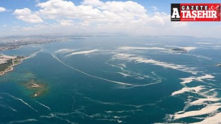 Deniz salyasının ardından yeni tartışma