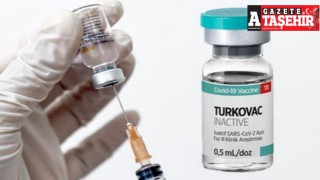 Yerli aşı TURKOVAC'a onay çıktı