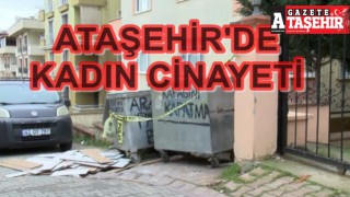 Ataşehir'de kadın cinayeti