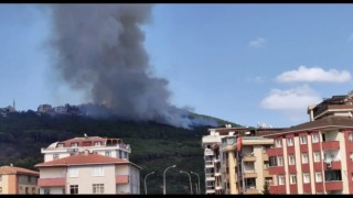 İstanbul Başıbüyük ormanlarında yangın çıktı