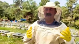 Komünist Başkan Fatih Maçoğlu'nun yeni mesleği belli oldu