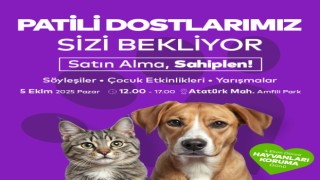 Ataşehir Belediyesi’nden “Sokak Hayvanlarını Sahiplen” etkinliği