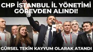 CHP İstanbul İl Yönetimi görevden alındı