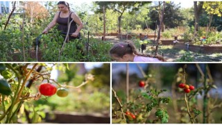 Kent Bostanları için yeni dönem başvuruları başlıyor