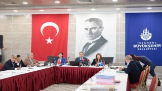 YENİ NESİL TAKSİLER İSTANBUL YOLLARINA ÇIKIYOR