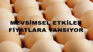 Gıda enflasyonunda zirve: Yumurtanın fiyatı 240 TL!