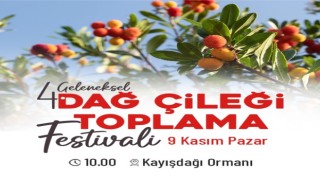 ATAŞEHİRLİLER DÖRDÜNCE KEZ DAĞ ÇİLEĞİ FESTİVALİ’NDE BULUŞUYOR