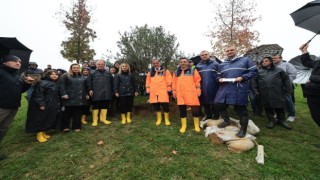 DİKİLEN FİDANLAR TOPRAKLA BULUŞTU