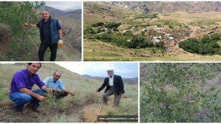 Erozyonla Mücadelede 17 Yılın Ardından Zafere Ulaşıldı